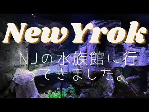 NJの水族館に行ってきました。