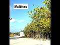 Maafushi island 2021 Maldives | Kaani Beach | Arena