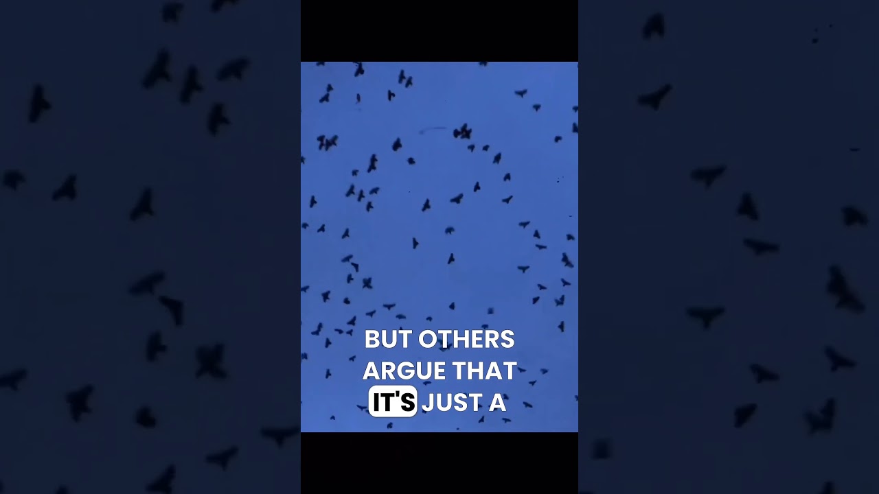 Day 7 of 1 minute philosophy.
