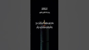 #سورة_الزمر #أيات_قرأنية_تريح_القلب #تلاوة_خاشعة #اكتب_شي_توجر_عليه 