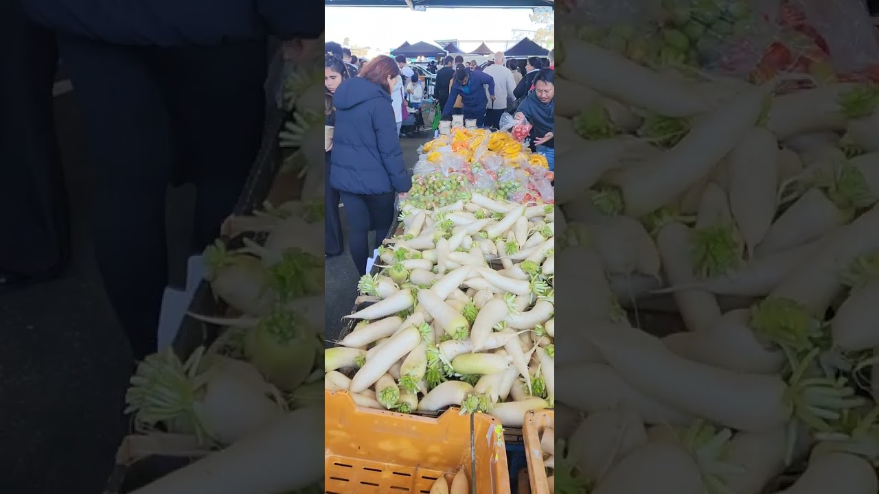 Market city 🇦🇺🦘