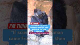 Is human evolution theory Wrong?!