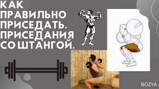 Как правильно приседать. Приседания со штангой. Как правильно приседать. Приседания со штангой.