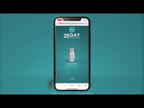 Augmented Reality for Marketing | Nestle Purina ONE 28 Day Challenge