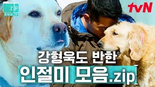 (80분) 마음이 따뜻해지는 순간 강형욱과 강아지의 조합은 보기만 해도 힐링 | 고독한훈련사