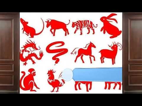 Chinese New Year Animals - YouTube