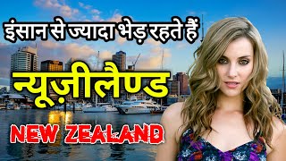 न्यूजीलैंड के इस वीडियो को एक बार जरूर देखें || Amazing Facts About New Zealand in Hindi screenshot 5