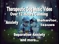 Over 12 Hours Calming Music Video For Your Beautiful Dog(s) (tested)