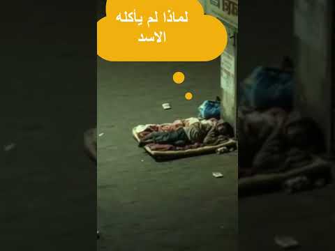 لماذا لم يأكله الاسد اكسبلور