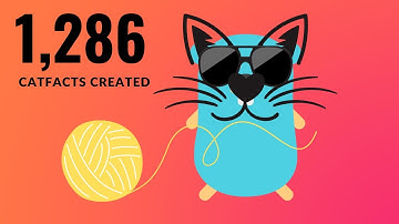 Building A Cat Fact JSON API With MongoDB And Golang