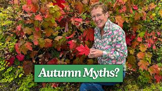 Cutting Back, Fallen Leaves & Mulch: Autumn Gardening Myths