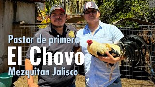 Entrevistando a Chovo De Mezquitán Jalisco 🐓🔥