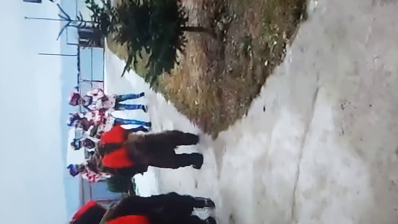 Urșii Buhuși..ceva nou 2020