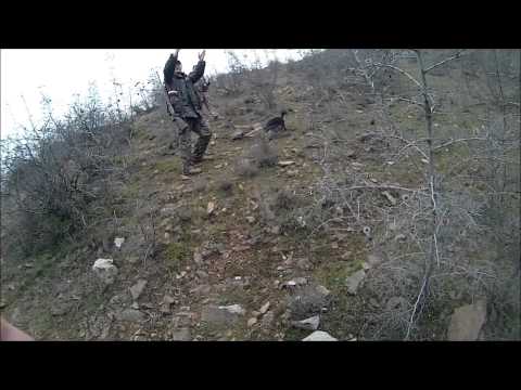 ტურაზე ნადირობა 1993წელი