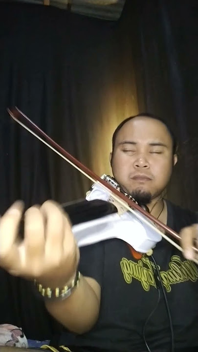 Tak ada cinta yg lain#dewa19 #videoshort #violin #2024