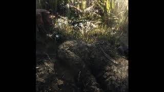 03. Sh_wn - Dizzy Spell