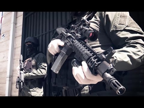 პოლიციის ფაილები - ნარკოტრანზიტი