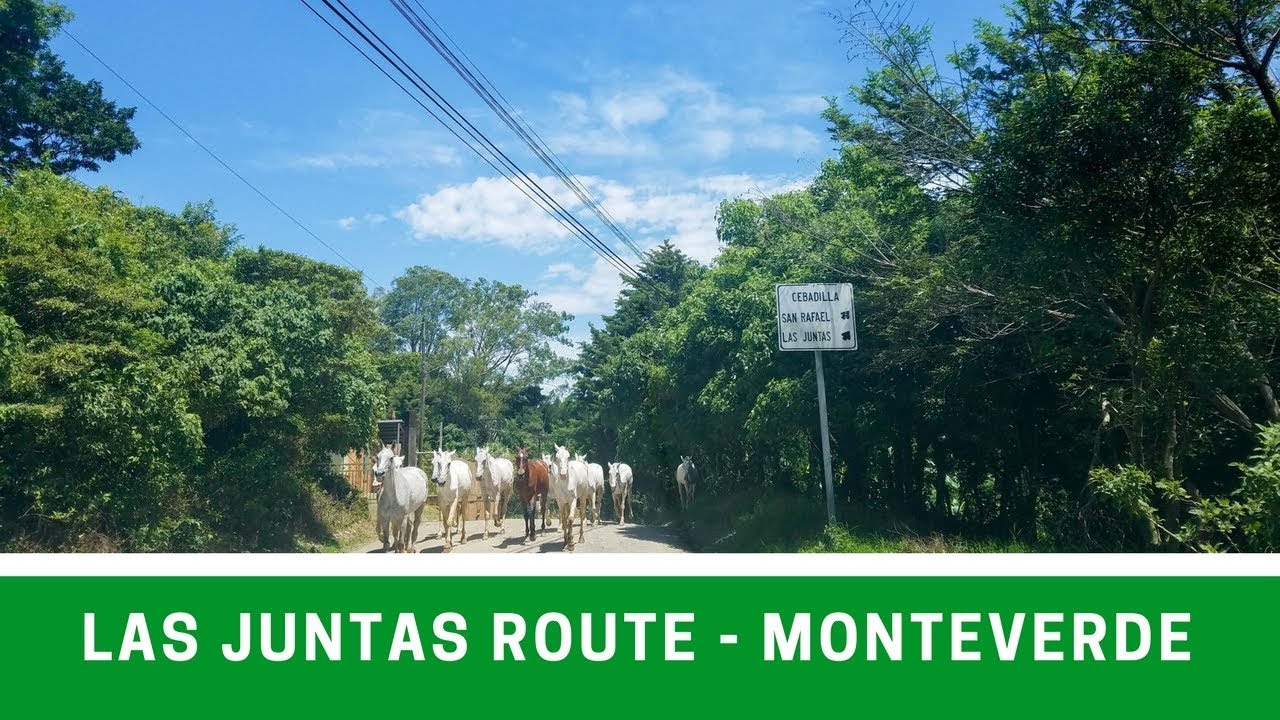 Driving the Las Juntas Route to Monteverde (Route 145)