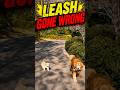 Who’s Walking Who? Funny Dog Leash Fails! #pawventure #shorts