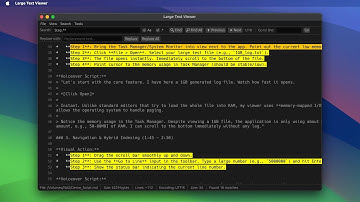 ECE 1724 - Large Text Viewer (In Rust) - Demo