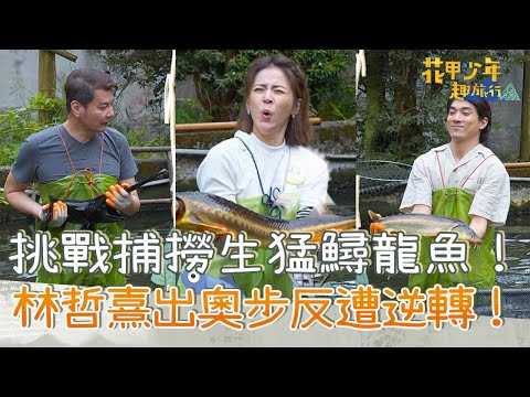 挑戰捕撈生猛鱘龍魚！林哲熹出奧步反遭鄭家榆逆轉超糗！【#花甲少年趣旅行】20240106 EP77 Part4｜🚐竹苗｜倪齊民、鄭家榆、蘇晏霈、林哲熹