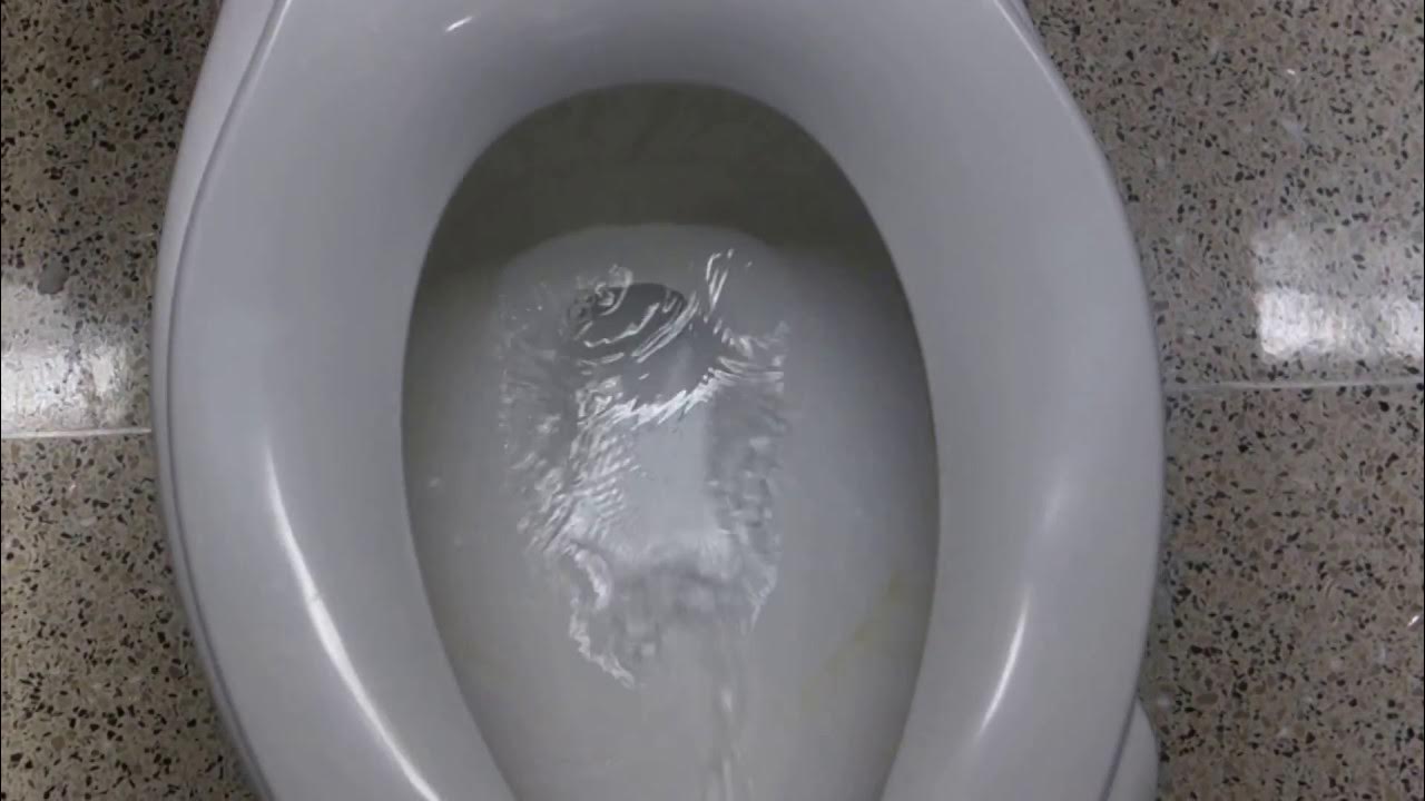 Just Some Automatic Toilet Flushing YouTube