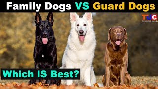 Family Dog VS Guard Dog Which is Best?? : TUC