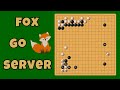 Comment installer le serveur de go chinois fox 