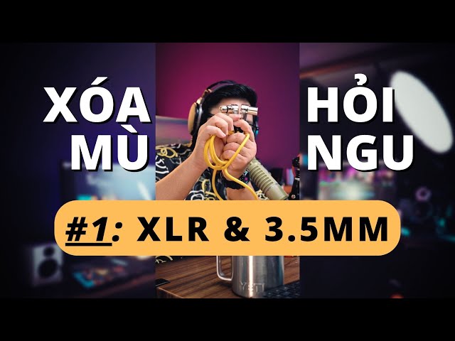 HỎI NGU 👉 XLR và cáp 3.5mm 👉 có thể bạn chưa biết 👉 xóa mù