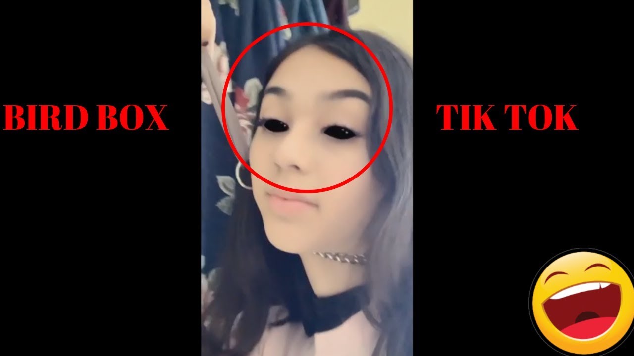 😱UNSEEN BIRD BOX TIK TOK MEMES COMPILATION V12😱 - YouTube