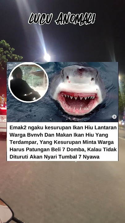 Kesurupan Ikan Hiu #meme #memes #lucu #shorts