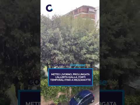 Video La Protezione Civile prolunga il codice giallo per temporali a Livorno fino a mezzanotte