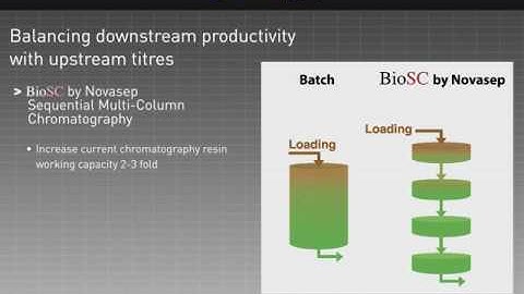 Multicolumn chromatography for mAb capture