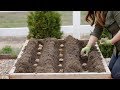 How to Plant Potatoes! 🥔🌿 // Garden Answer の動画、YouTube動画。