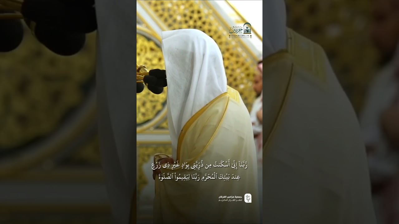 تصاميم قصيرة من الحرم النبوي | شهر  ذو القعدة 1446هـ الحلقة السادسة