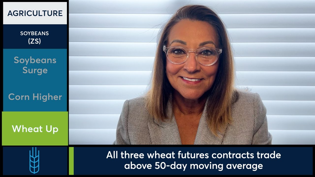 Grain futures green across the board, 9/23/24