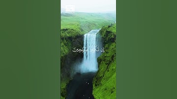 رَّبُّكُمْ أَعْلَمُ بِمَا فِي نُفُوسِكُمْ ۚ إِن … #فارس_عباد  #سورة_الإسراء