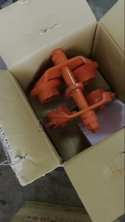 Nitchi Electric Chain Hoist