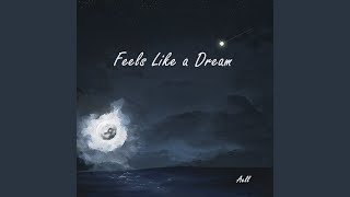 Feels Like a Dream