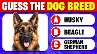 Guess The Dog Breed Quiz 🐶🧠 | Do You Know The 25 Most Popular Dog Breeds? screenshot 3