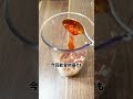 防災バックにピルを入れる理由💁🏼♀️ #防災バック #ピル #pms #生理不順 #避妊 #shorts