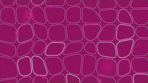 Computational Pathology: revolutionising cancer therapies and diagnostics