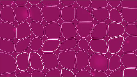 Computational Pathology: revolutionising cancer therapies and diagnostics