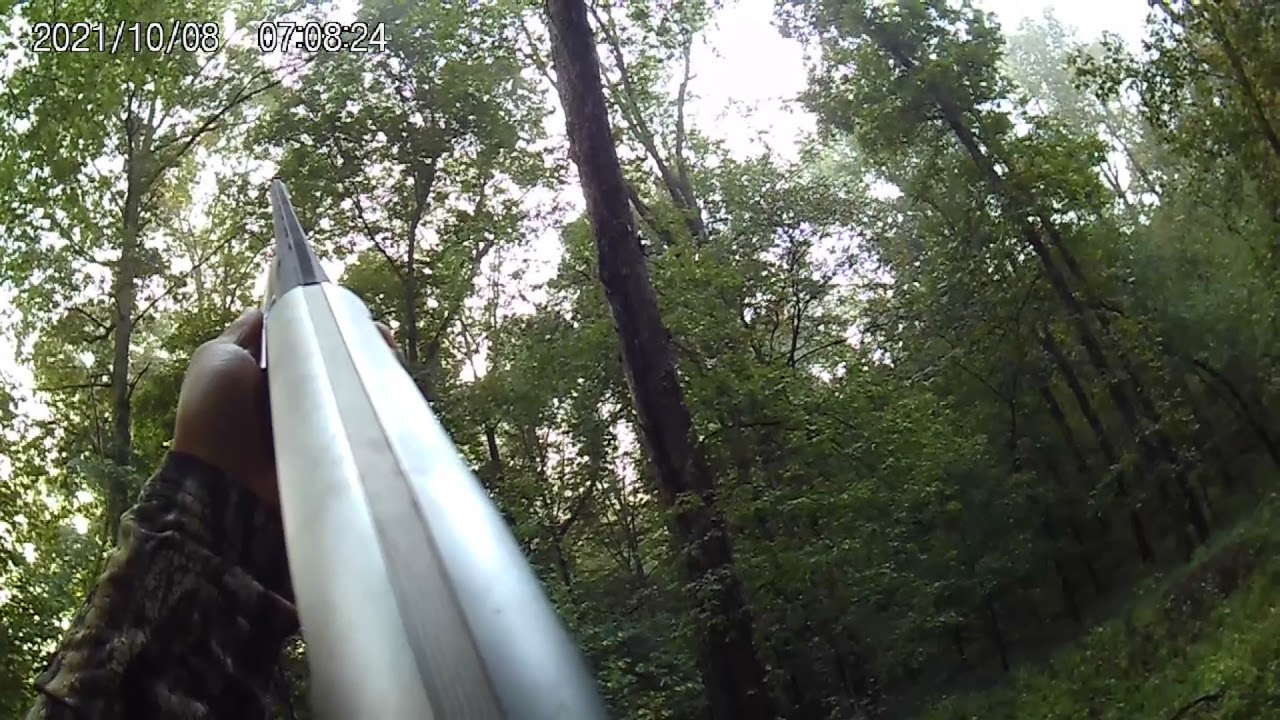 Squirrel 🐿 hunting with 20 gauge shotgun (Karen) YouTube