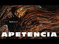IBR Miami | Apetencia