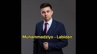 Muhammadziyo - Labidan