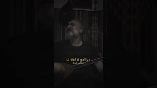 Hozan Aydin - Avi̇