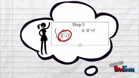 Calculus Project Integration