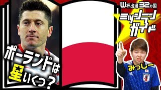 【ロシアW杯】ポーランド代表を格付け！【出場32カ国ミッシランガイド 29/32】
