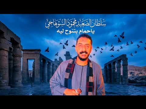 يا حمام بتنوح ليه محمود السوهاجي
